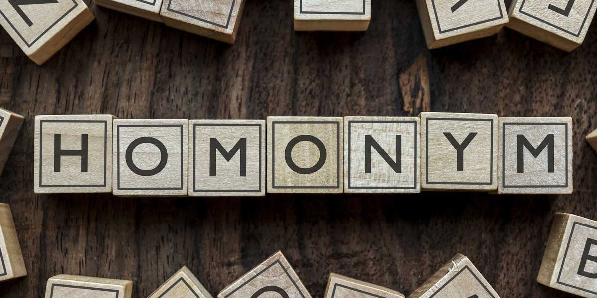 Homonyms-commonly confused words english