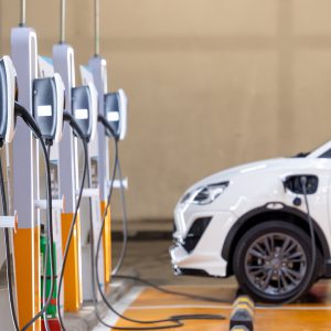 electric vehicle economy